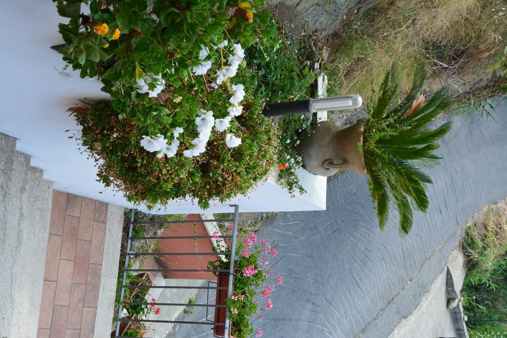 B&B La Casa Rossa Paola Εξωτερικό φωτογραφία