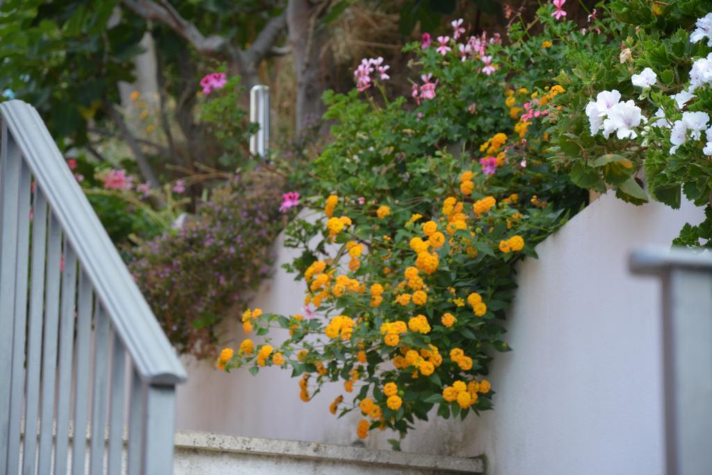 B&B La Casa Rossa Paola Εξωτερικό φωτογραφία